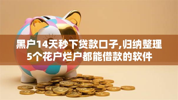 黑户14天秒下贷款口子,归纳整理5个花户烂户都能借款的软件