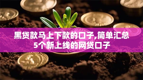 黑贷款马上下款的口子,简单汇总5个新上线的网贷口子