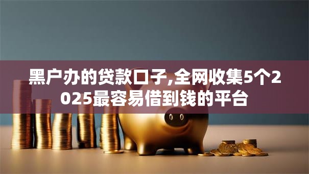 黑户办的贷款口子,全网收集5个2025最容易借到钱的平台