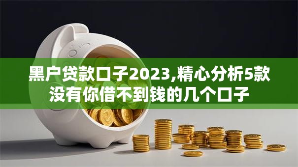 黑户贷款口子2023,精心分析5款没有你借不到钱的几个口子