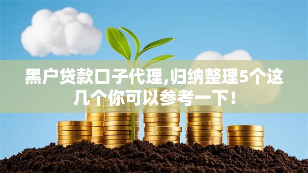黑户贷款口子代理,归纳整理5个这几个你可以参考一下！