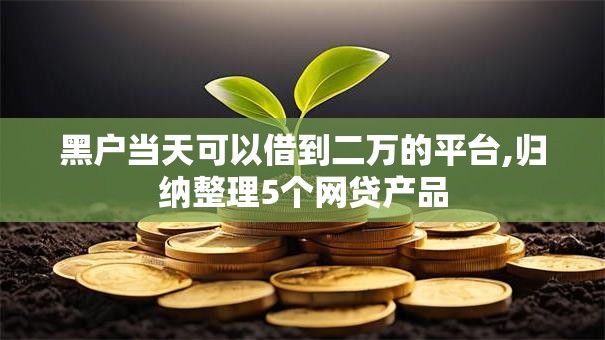 黑户当天可以借到二万的平台,归纳整理5个网贷产品