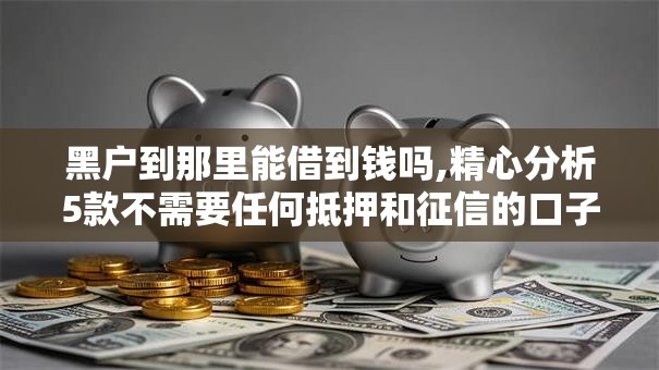黑户到那里能借到钱吗,精心分析5款不需要任何抵押和征信的口子