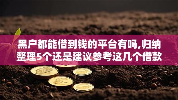 黑户都能借到钱的平台有吗,归纳整理5个还是建议参考这几个借款口子吧