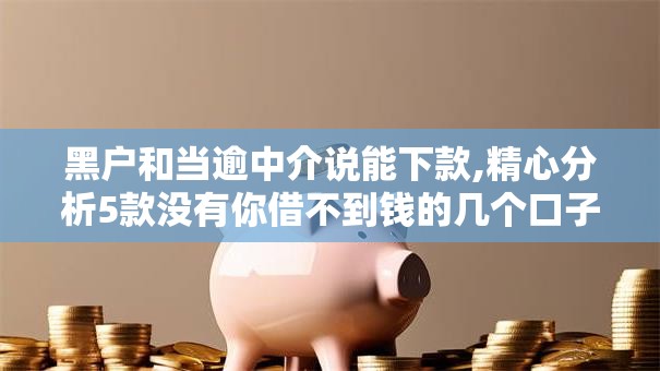 黑户和当逾中介说能下款,精心分析5款没有你借不到钱的几个口子