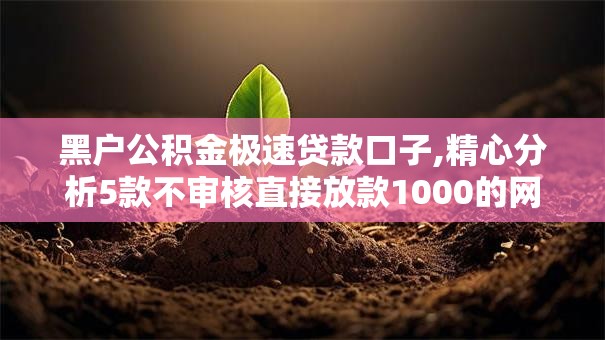 黑户公积金极速贷款口子,精心分析5款不审核直接放款1000的网贷口子推荐