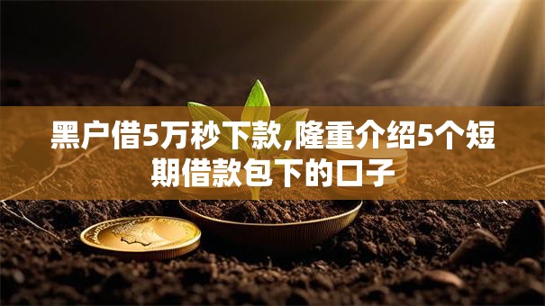 黑户借5万秒下款,隆重介绍5个短期借款包下的口子