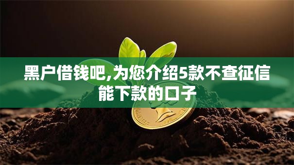 黑户借钱吧,为您介绍5款不查征信能下款的口子