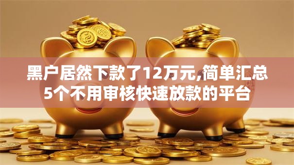 黑户居然下款了12万元,简单汇总5个不用审核快速放款的平台