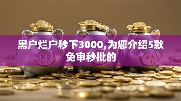 黑户烂户秒下3000,为您介绍5款免审秒批的