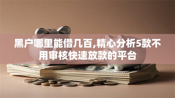 黑户哪里能借几百,精心分析5款不用审核快速放款的平台