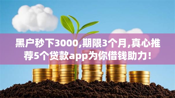 黑户秒下3000,期限3个月,真心推荐5个贷款app为你借钱助力！