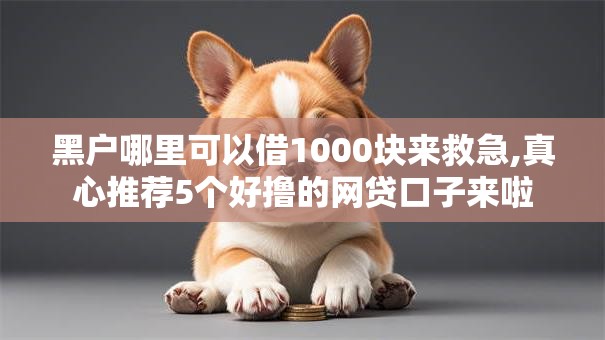 黑户哪里可以借1000块来救急,真心推荐5个好撸的网贷口子来啦