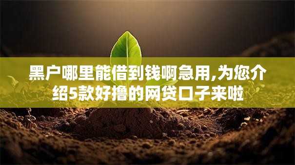 黑户哪里能借到钱啊急用,为您介绍5款好撸的网贷口子来啦