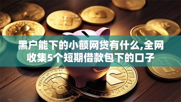 黑户能下的小额网贷有什么,全网收集5个短期借款包下的口子