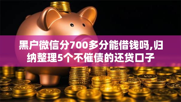 黑户微信分700多分能借钱吗,归纳整理5个不催债的还贷口子