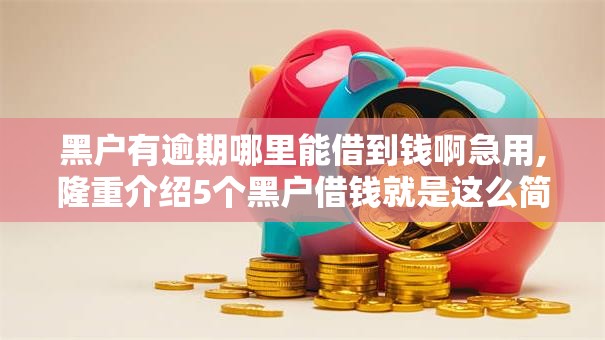 黑户有逾期哪里能借到钱啊急用,隆重介绍5个黑户借钱就是这么简单！