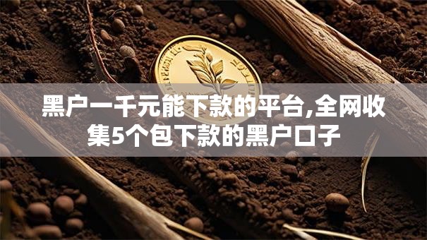 黑户一千元能下款的平台,全网收集5个包下款的黑户口子