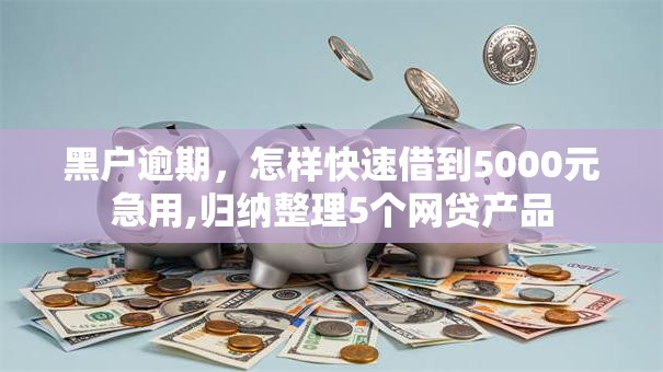 黑户逾期，怎样快速借到5000元急用,归纳整理5个网贷产品