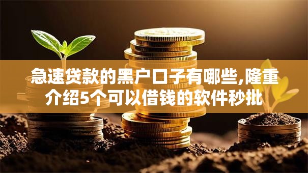 急速贷款的黑户口子有哪些,隆重介绍5个可以借钱的软件秒批