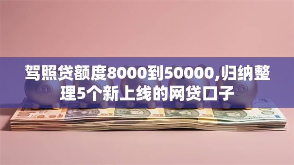 驾照贷额度8000到50000,归纳整理5个新上线的网贷口子