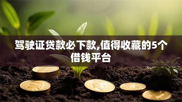 驾驶证贷款必下款,值得收藏的5个借钱平台