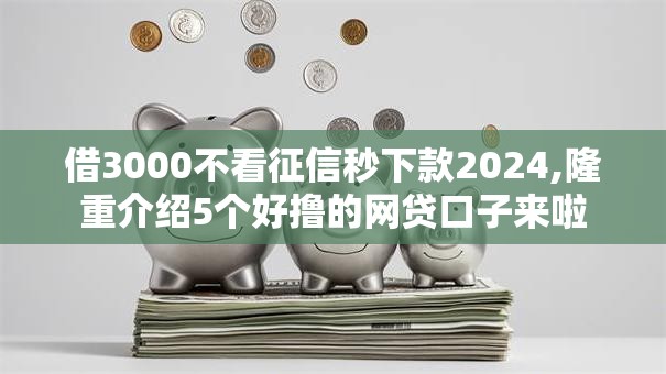 借3000不看征信秒下款2024,隆重介绍5个好撸的网贷口子来啦