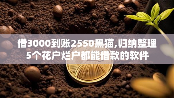 借3000到账2550黑猫,归纳整理5个花户烂户都能借款的软件