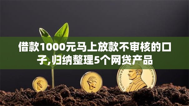借款1000元马上放款不审核的口子,归纳整理5个网贷产品