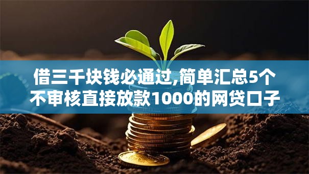借三千块钱必通过,简单汇总5个不审核直接放款1000的网贷口子推荐