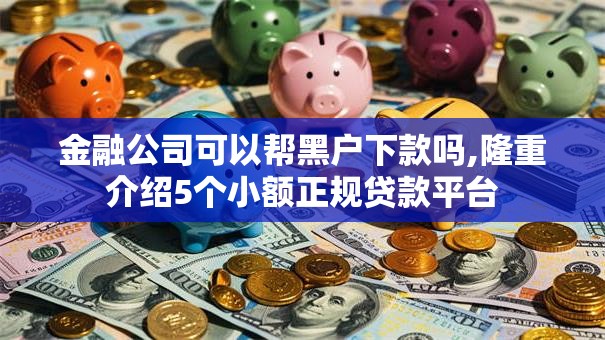 金融公司可以帮黑户下款吗,隆重介绍5个小额正规贷款平台
