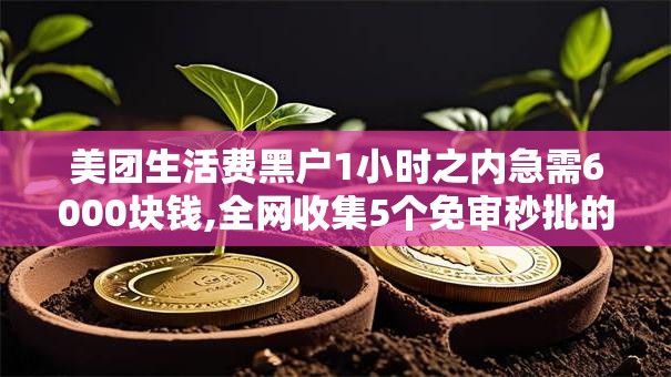 美团生活费黑户1小时之内急需6000块钱,全网收集5个免审秒批的贷款软件分享给你