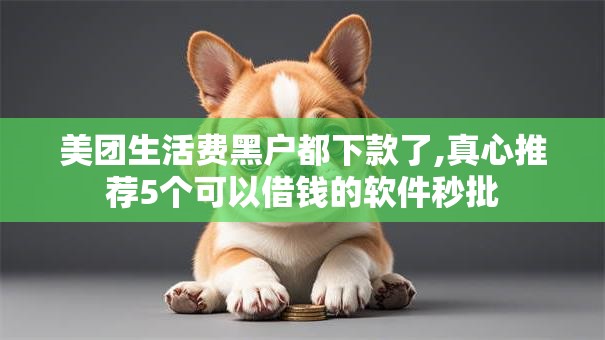美团生活费黑户都下款了,真心推荐5个可以借钱的软件秒批