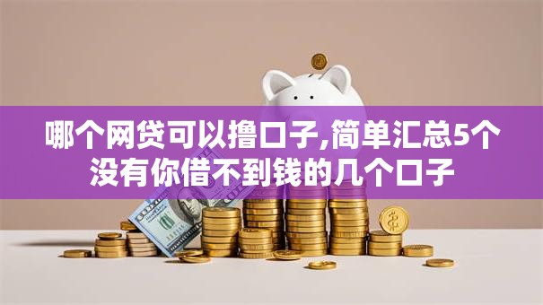 哪个网贷可以撸口子,简单汇总5个没有你借不到钱的几个口子