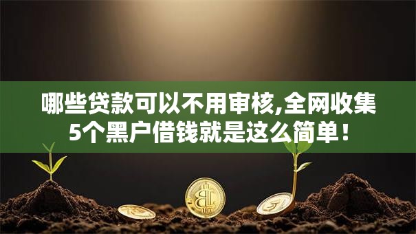哪些贷款可以不用审核,全网收集5个黑户借钱就是这么简单！