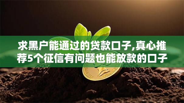 求黑户能通过的贷款口子,真心推荐5个征信有问题也能放款的口子