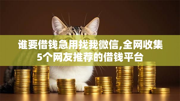 谁要借钱急用找我微信,全网收集5个网友推荐的借钱平台