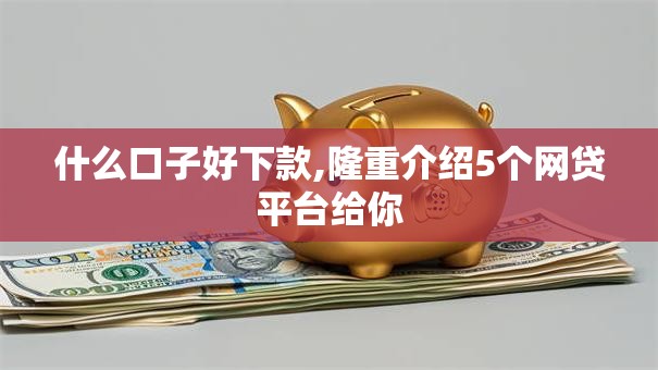 什么口子好下款,隆重介绍5个网贷平台给你