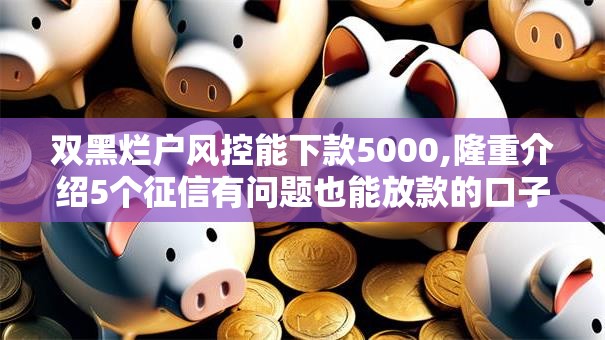 双黑烂户风控能下款5000,隆重介绍5个征信有问题也能放款的口子