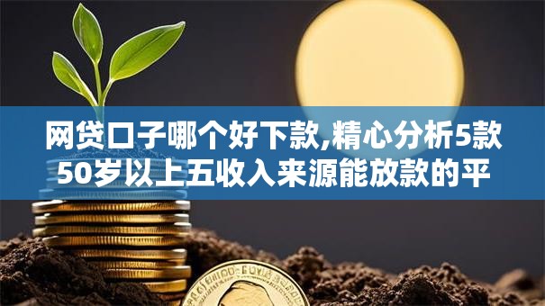 网贷口子哪个好下款,精心分析5款50岁以上五收入来源能放款的平台