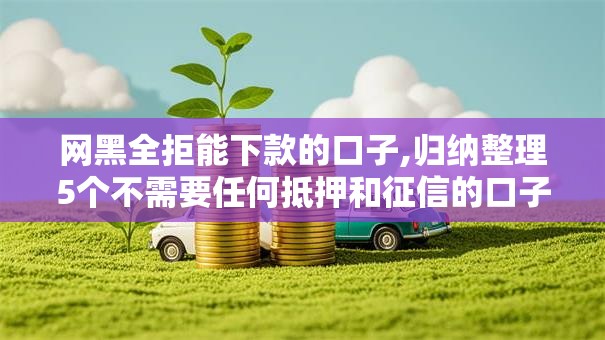 网黑全拒能下款的口子,归纳整理5个不需要任何抵押和征信的口子