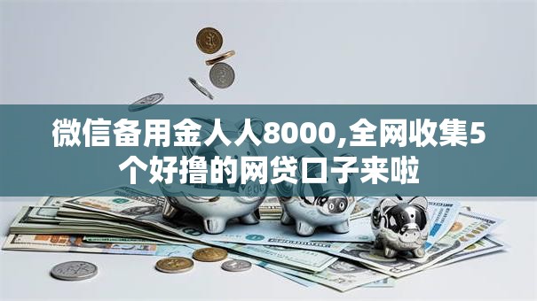 微信备用金人人8000,全网收集5个好撸的网贷口子来啦
