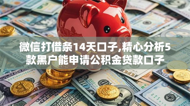 微信打借条14天口子,精心分析5款黑户能申请公积金贷款口子