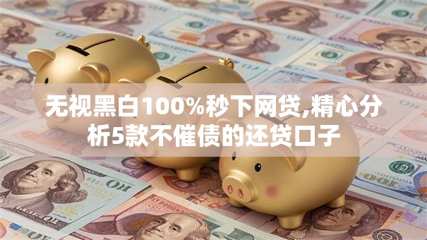 无视黑白100%秒下网贷,精心分析5款不催债的还贷口子