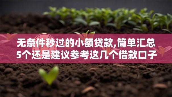 无条件秒过的小额贷款,简单汇总5个还是建议参考这几个借款口子吧