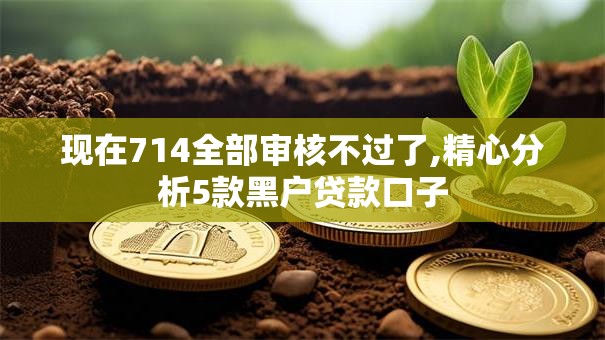 现在714全部审核不过了,精心分析5款黑户贷款口子