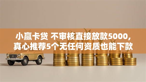小赢卡贷 不审核直接放款5000,真心推荐5个无任何资质也能下款的口子