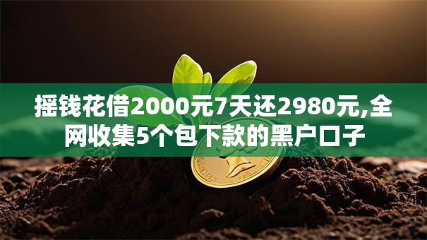 摇钱花借2000元7天还2980元,全网收集5个包下款的黑户口子