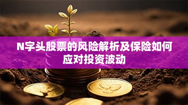 N字头股票的风险解析及保险如何应对投资波动