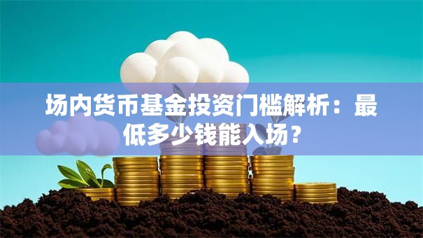 场内货币基金投资门槛解析：最低多少钱能入场？